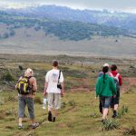 bale_mountain_hiking
