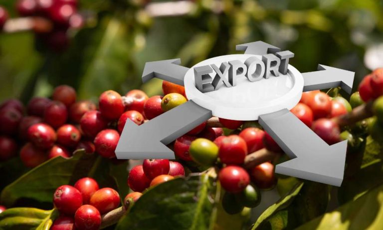 Top 10 Ethiopian Coffee Exporters
